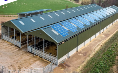 5 Signs It’s Time to Upgrade to a SteelAgricultural Building