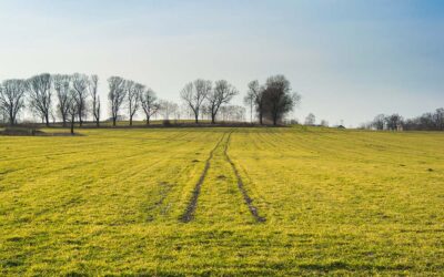 How to Prepare Your Property for a New Steel Building